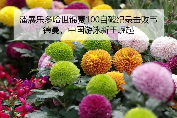 潘展乐多哈世锦赛100自破纪录击败韦德曼，中国游泳新王崛起