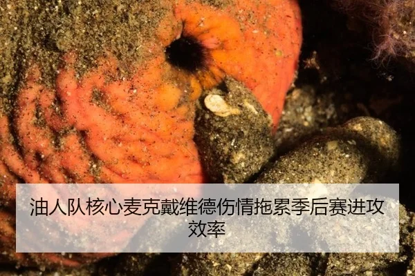 you-ren-dui-he-xin-mai-ke-dai-wei-de-shang-qing-tuo-lei-ji-hou-sai-jin-gong-xiao-lv-2-599.jpg