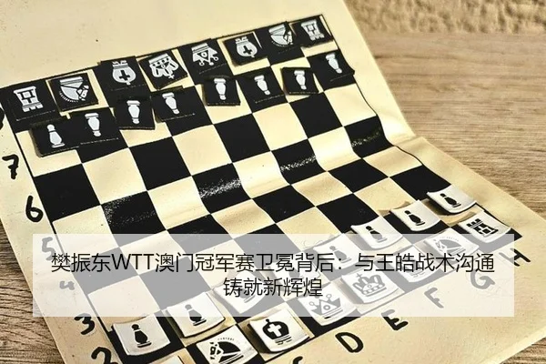 樊振东WTT澳门冠军赛卫冕背后：与王皓战术沟通铸就新辉煌