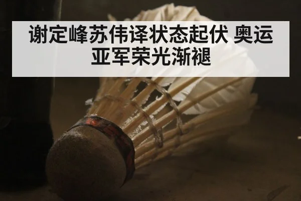 谢定峰苏伟译状态起伏 奥运亚军荣光渐褪